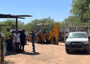 Investigan cruel ataque a animalitos en rancho de Sonora
