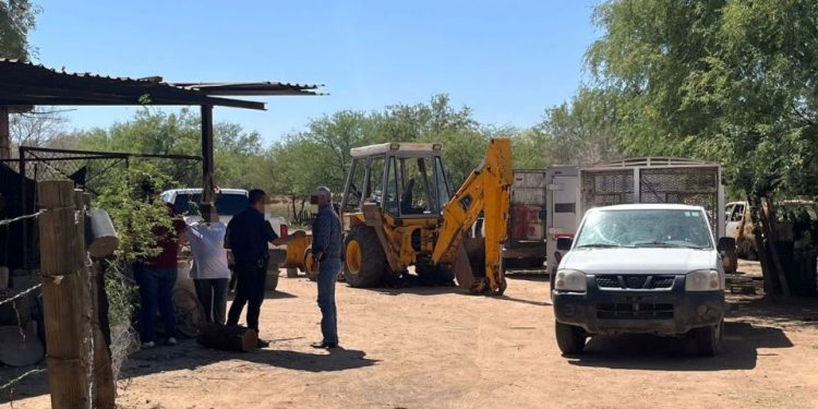 Investigan cruel ataque a animalitos en rancho de Sonora