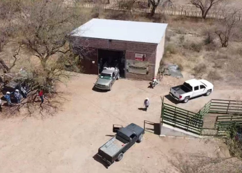 En plena veda electoral, candidatos morenistas entregan fertilizantes de Segalmex a agricultores de Álamos