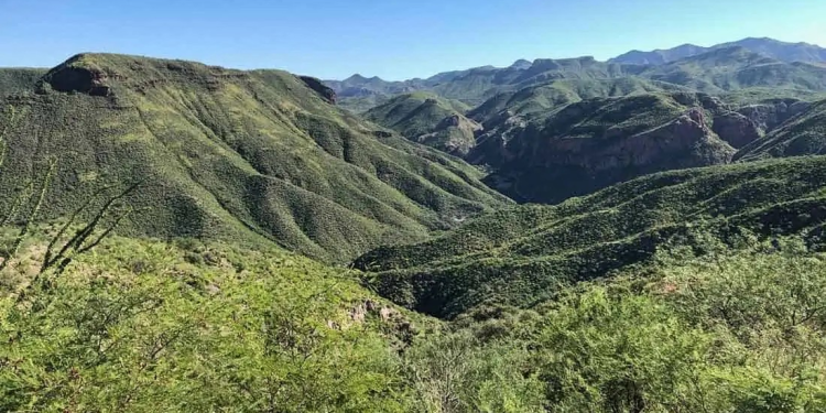 SilverCrest Metals: Informe ESG 2023 destaca logros ambientales y sociales en Las Chispas