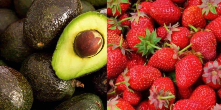 Sinaloa y Sonora, en el top 10 de las entidades con más exportaciones en México