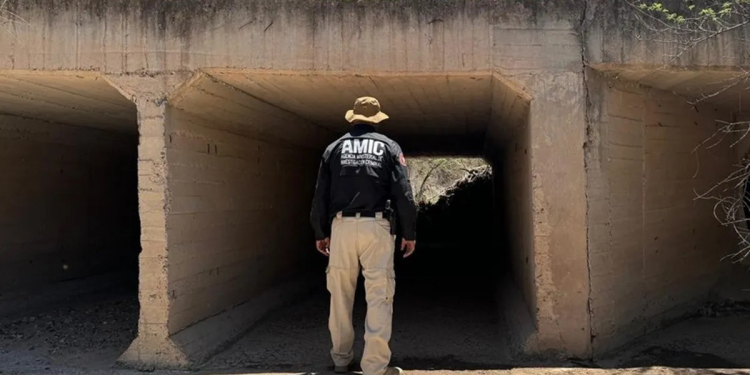 Hallan sin vida a señora reportada desaparecida en Sonora; que murió por el calor