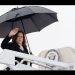 Kamala Harris se asegura la mayoría de delegados necesaria para su designación como candidata