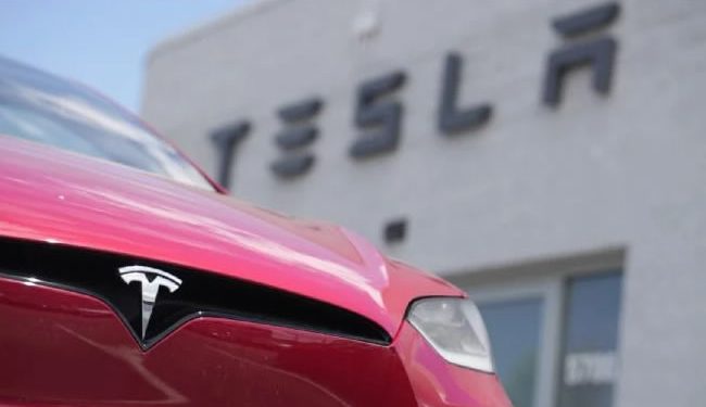 Tesla no ha hecho ningún trámite oficial para invertir en México: Secretaría de Economía