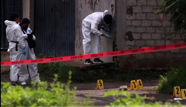 Esta es la estrategia que podría disminuir delitos de grupos criminales en México, según Edgardo Buscaglia