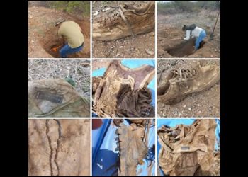 Llaman a ciudadanía que tengan familiar desaparecido a identificar restos localizados en San José de Guaymas