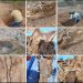 Llaman a ciudadanía que tengan familiar desaparecido a identificar restos localizados en San José de Guaymas