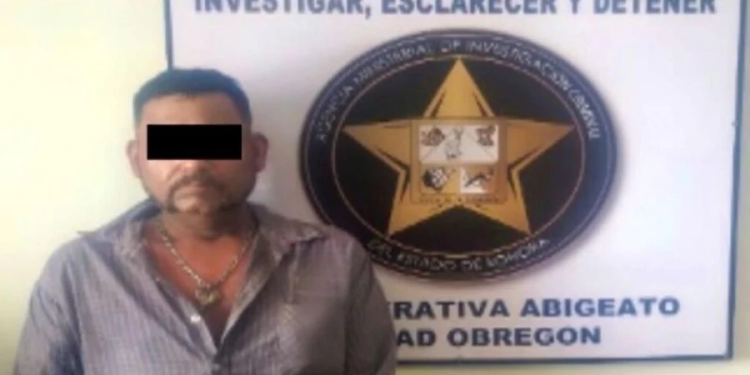 Prisión preventiva para un hombre en Sonora tras dar un machetazo a un perro