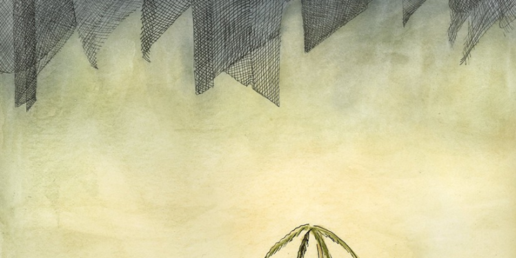 La soledad de la vaquita marina 