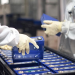Ganfeng Lithium planea construir una mesa de operaciones de USD 1.1 mil millones