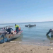 Alertan por presencia de tiburones en costas del sur de Sonora