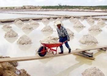 Productividad argentina de litio suma 136 mil 500 toneladas