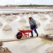 Productividad argentina de litio suma 136 mil 500 toneladas