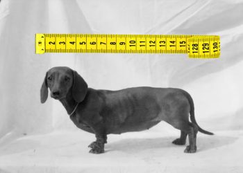 Porno, complejos y centímetros: ¿qué lleva a los hombres a mentir sobre el tamaño de su pene?