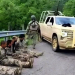 Caen 5 con uniformes y autos militares clonados en Sonora