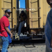 Tren Sonora: la historia de prosperidad que se volvió tragedia