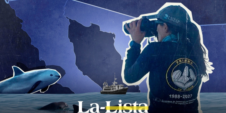 Pamela Martínez, la única observadora mexicana de vaquita marina