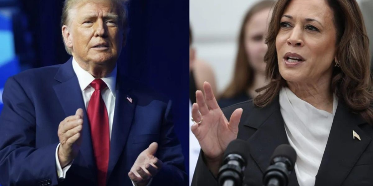 La crisis migratoria de la frontera separa a los rancheros en Arizona entre Trump y Harris