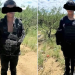 Suman 7 supuestos niños sicarios detenidos en operativos en Sonora