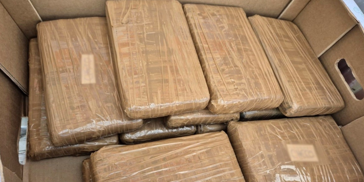 Sonora: FGR asegura 14 kilos de fentanilo en cajas de pimiento