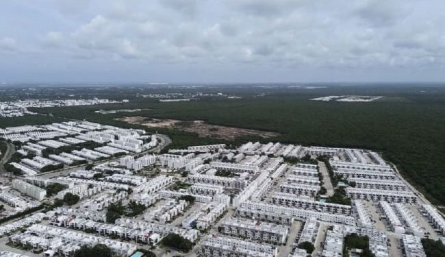 A la sombra del Tren Maya, el paraíso secreto de los Bartlett