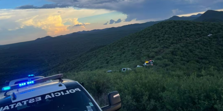 Desmantelan campamento clandestino del crimen organizado en Opodepe