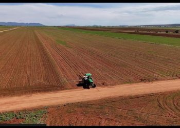 Frijol de EU germina en cocinas mexicanas; sequía afectó, en gran parte, la producción