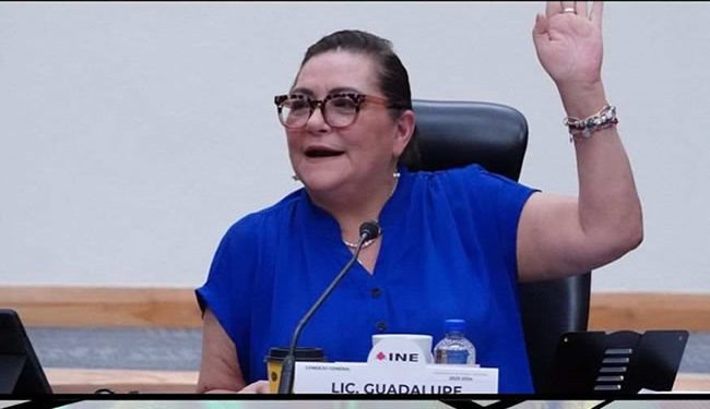 INE se apegará 100% a la Constitución en asignación de plurinominales al Congreso 2024: Taddei