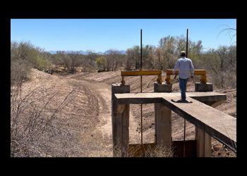 Aprovecharán agua de lluvias con la construcción de bordos en 620 hectáreas del Valle de Guaymas