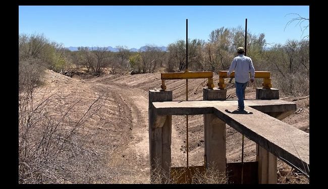 Aprovecharán agua de lluvias con la construcción de bordos en 620 hectáreas del Valle de Guaymas