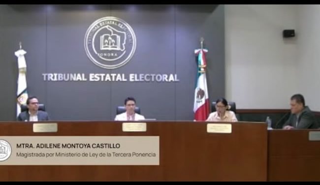 TEE invalida la elección en el Municipio de Rayón