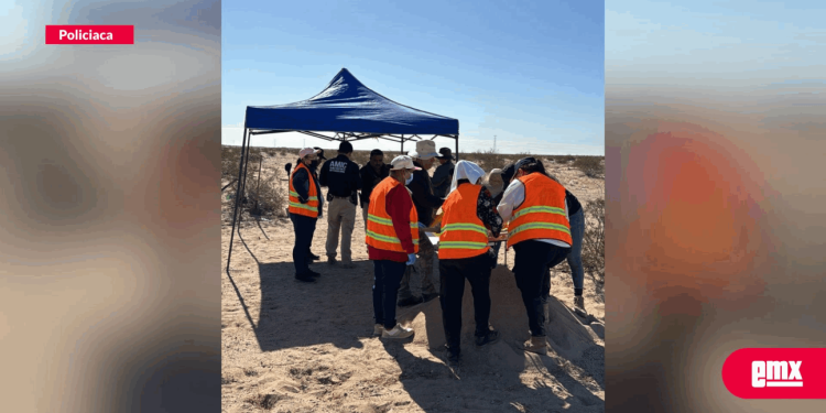 Localizan Restos Humanos en la Ventana, Sonora