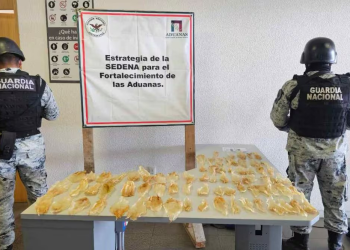 Aseguran 75 buches de totoaba en la aduana de Sonoyta, Sonora