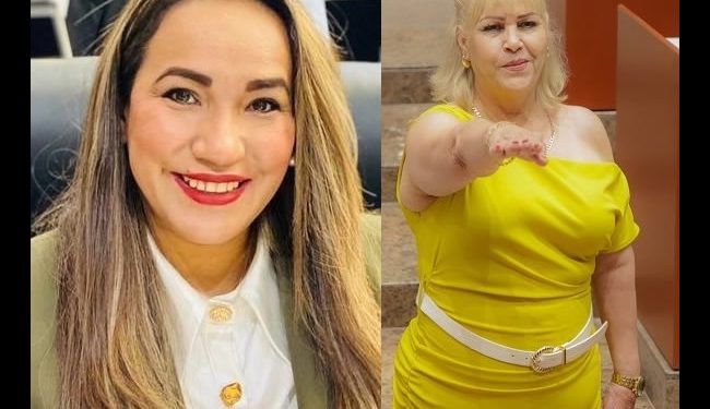 Diputada Bours Corral del PVEM pide licencia y toman protesta a la Suplente