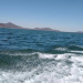 Pescadores encuentran a una mujer sin vida en Golfo de Santa Clara, Sonora