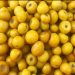 Fruta de oro: el alimento repleto de colágeno que hace desaparecer las arrugas y mantiene la piel suave