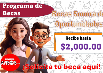 Ya se encuentra disponible la convocatoria de Becas Sonora 2024 para estudiantes de universidad pública