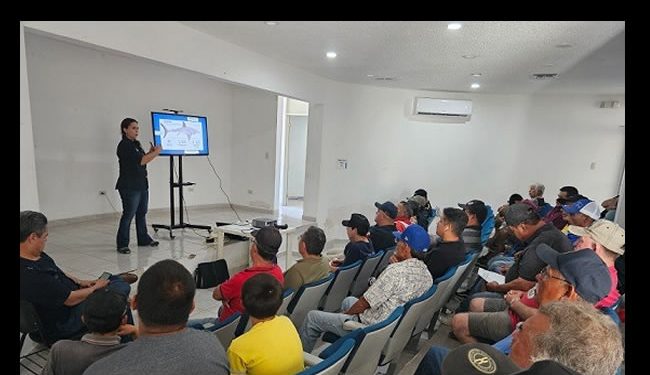 Capacitan a pescadores de cooperativas de Peñasco para prevenir y cómo actuar en caso de ataque de tiburones