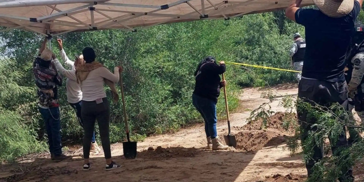 Colectivo localiza 8 fosas clandestinas en Sonora