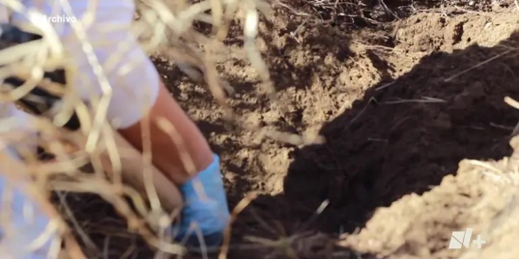 Encuentran Cuerpo Calcinado y Envuelto en Hule en Ciudad Obregón