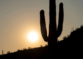 Contra el calor… todo se vale