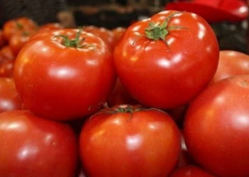 Descartan alza considerable en precios de canasta básica; tomate subió por desabasto en Sonora y Sinaloa