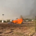 Denuncian quema de cientos de árboles en Hermosillo