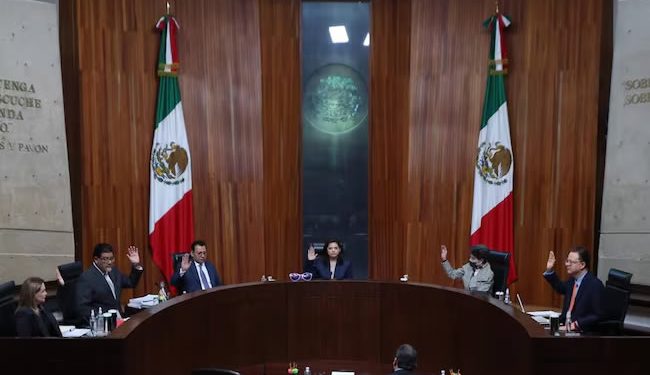 Tribunal Electoral perfila dar razón al INE en asignación de diputaciones plurinominales