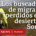 BBC Mundo gana el premio Emmy a mejor reportaje en español por el documental Los buscadores de migrantes en el desierto de Sonora