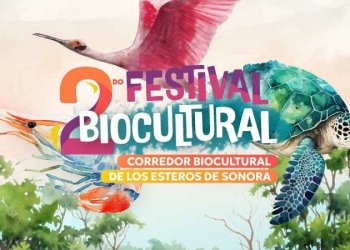 Invitan al II Festival Biocultural Estuarino de Sonora