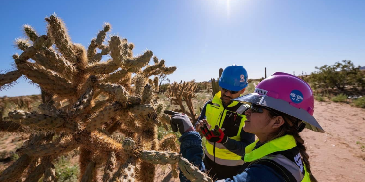 Minera Penmont impulsa la conservación de la biodiversidad en Sonora