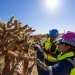 Minera Penmont impulsa la conservación de la biodiversidad en Sonora