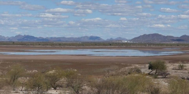 Presas del sur de Sonora registran bajo nivel que impactará en producción de maíz y trigo