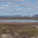 Presas del sur de Sonora registran bajo nivel que impactará en producción de maíz y trigo
